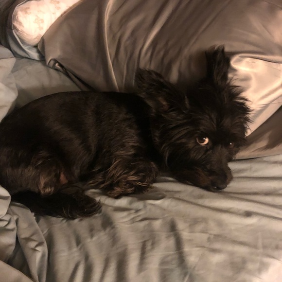 Meet Your Posher ~ Tracy - Picture 6 of 6